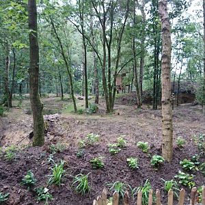 DierenPark Amersfoort - Het Woud