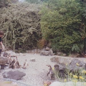 Dublin Zoo: 2001