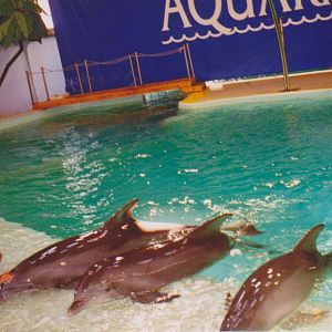 Zoo de Barcelona: 1997