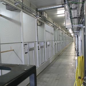 A whole lot of indoor-aviaries