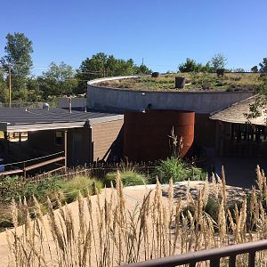 Rhino Reserve - green roof
