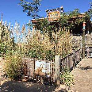 Giraffe Habitat - covered viewing platform