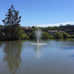 Lost Kingdom construction - September 2016