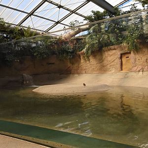 The largest duck indoor enclosure in the world