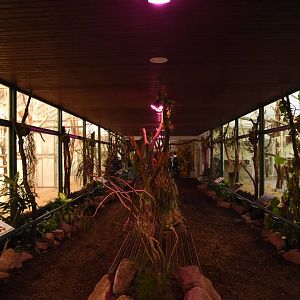 Madagascar house - overview