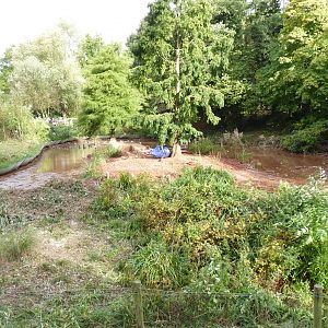 Flamingo lake, October 2016