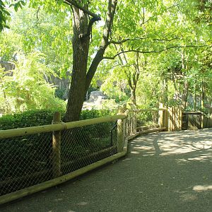 Oct. 2016 - Gorilla World - Exhibit + Viewing