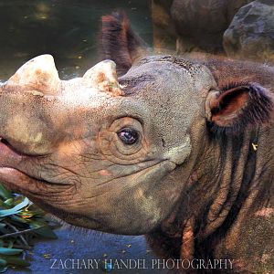 May. 2014 - Wildlife Canyon - Harapan