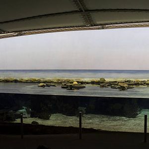 Burgers' Ocean - Lagoon