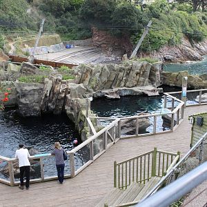 Fur Seal pools @ Living Coasts 22.09.2016