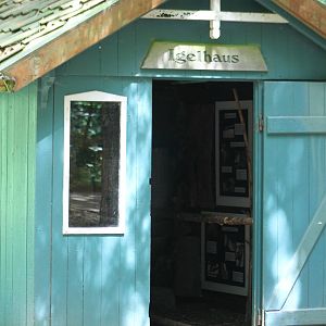 Hedgehog information shed