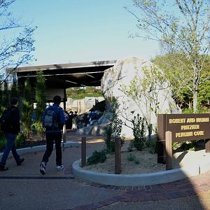 New Penguin Cove exhibit