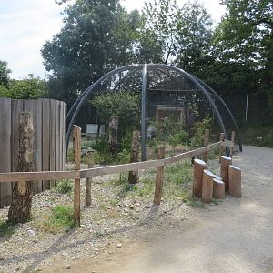 Zoo La Garenne - Walk-in Little Owl aviary 150816