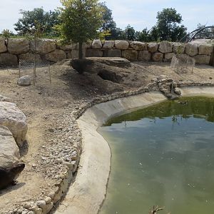 Zoo La Garenne - Coypu enclosure 150816