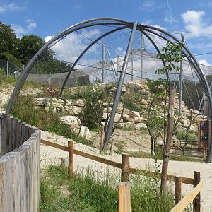 Zoo La Garenne - Walk-in Eagle Owl aviary 150816