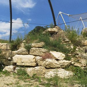 Zoo La Garenne - Walk-in Eagle Owl aviary 150816