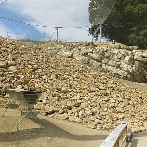 Zoo La Garenne - Alpine Ibex and Lammergeier 150816