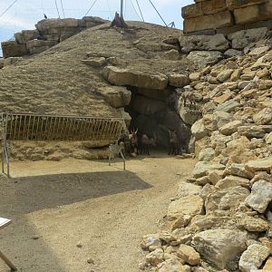 Zoo La Garenne - Alpine Ibex 150816