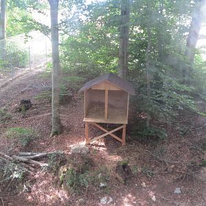 Zoo La Garenne - Northern Lynx enclosure 150816