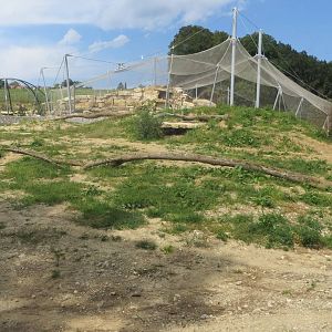 Zoo La Garenne - 150816