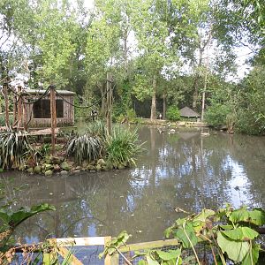 Ruffed Lemur island 170916