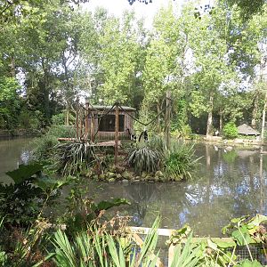 Ruffed Lemur island 170916