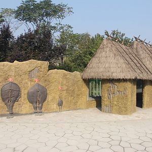 New rhinoceros enclosure