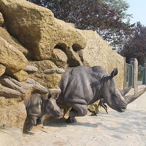 New rhinoceros enclosure