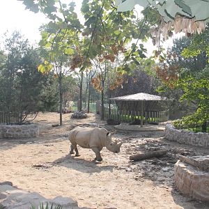 New rhinoceros enclosure