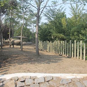 New rhinoceros enclosure