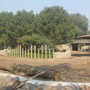 New rhinoceros enclosure