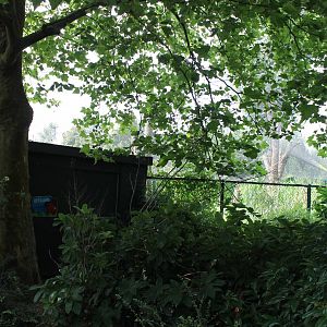 Lemur walk-through from the out-side