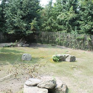Enclosure Parma wallaby