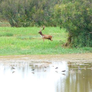 Parc Natural Aiguamolls de L'Emporda