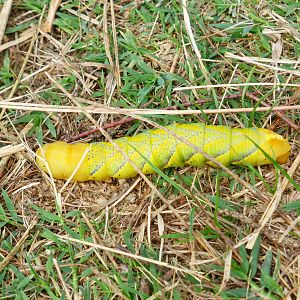 Parc Natural Aiguamolls de L'Emporda