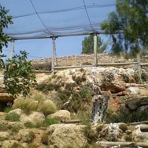Tisch Family Zoo, Jerusalem July 2008