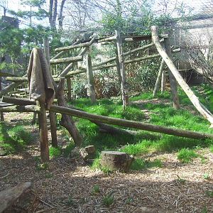 Serval enclosure, Lion Terraces