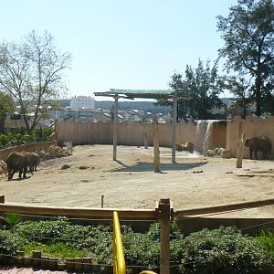 Elephant herd enclosure - Lisbon Zoo