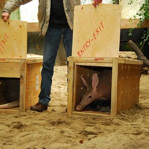 Zoo Wroclaw New Arrivals