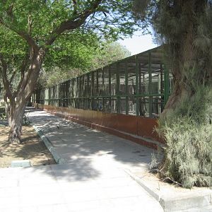 Bank of Aviaries