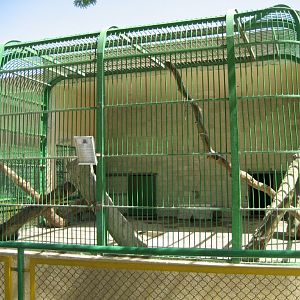 Himalayan Black Bear cage