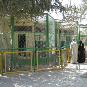Dog cages