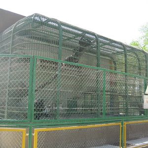 Chimpanzee Cage