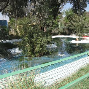 Nile Crocodile enclosure