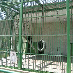 Gibbon Cage
