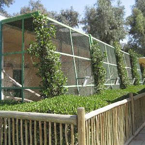 Parrot Aviaries