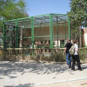 Vervet monkey cage