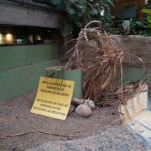 Old Cuban crocodile enclosure - Terrarium