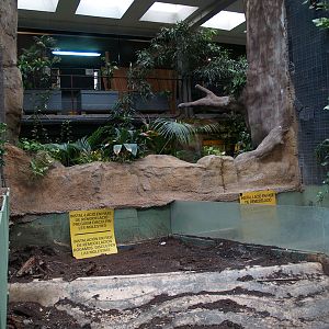 Old tortoises enclosure - Terrarium
