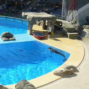 Dophinarium - Lisbon Zoo